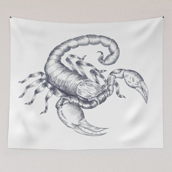 Item preview, Emperor Scorpion Hand Inked Design designed and sold by Nocturnal Ink Studio.