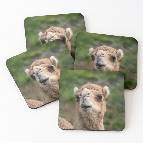 Item preview, Camel Desert Animal Wildlife Nature Lover designed and sold by Aureliuszorp.