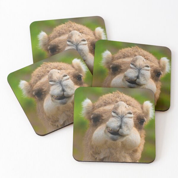 Item preview, Camel Desert Animal Lover designed and sold by Aureliuszorp.