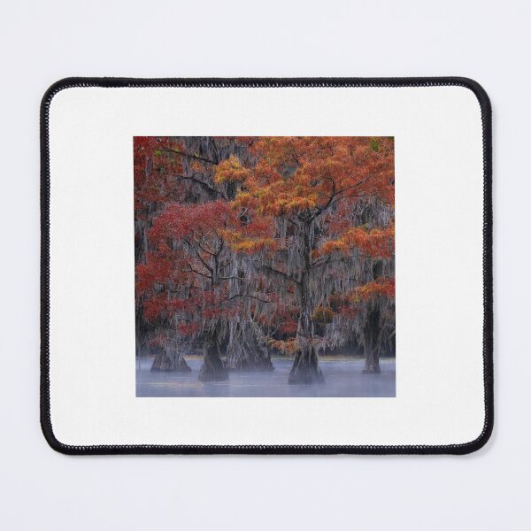 Item preview, Autumn Bald Cypress Trees in Morning Mist designed and sold by JohnManuelPhoto.