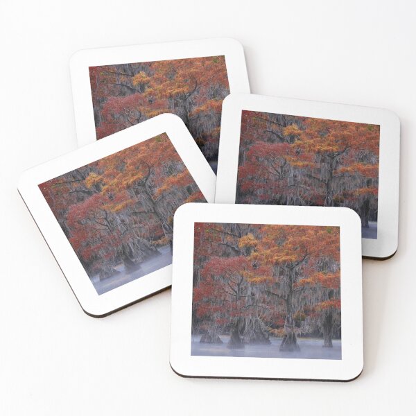 Item preview, Autumn Bald Cypress Trees in Morning Mist designed and sold by PygmyTitan Photo.