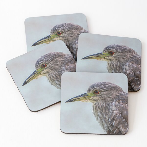 Item preview, Closeup of a Juvenile Black-Crowned Night Heron designed and sold by Pondside-Pics.