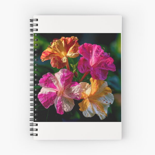 Item preview, Mirabilis Jalapa – Whispers of Color and Light #10 designed and sold by Helios Be. Lavsh.