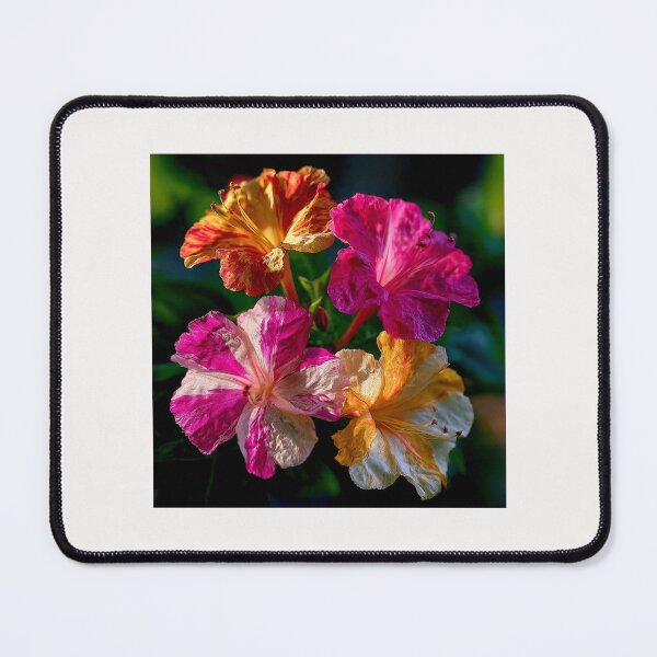 Item preview, Mirabilis Jalapa – Whispers of Color and Light #10 designed and sold by Helios Be. Lavsh.