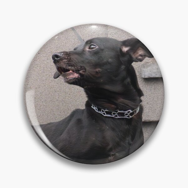 Item preview, Cute Black Dog designed and sold by LueNoir.