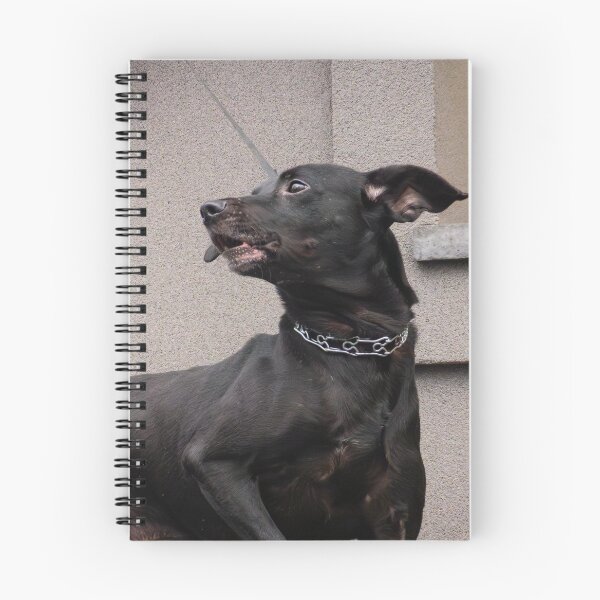 Item preview, Cute Black Dog designed and sold by LueNoir.
