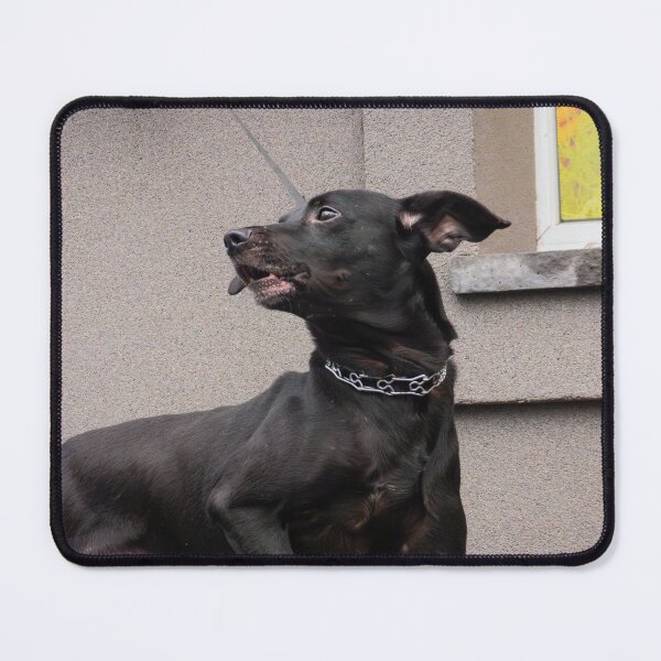 Item preview, Cute Black Dog designed and sold by LueNoir.