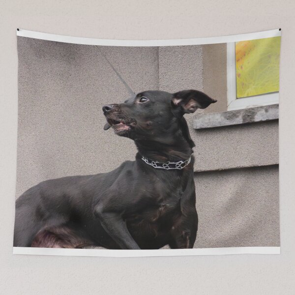 Item preview, Cute Black Dog designed and sold by LueNoir.