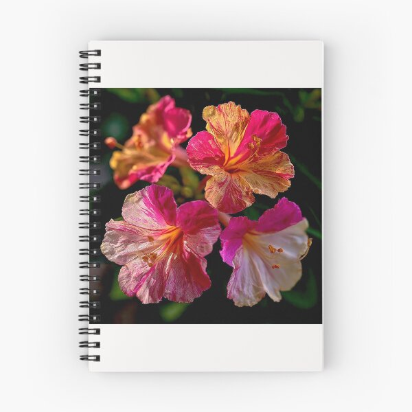 Item preview, Mirabilis Jalapa – Whispers of Color and Light #11 designed and sold by Helios Be. Lavsh.