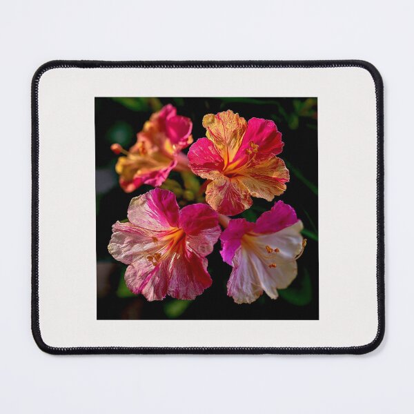 Item preview, Mirabilis Jalapa – Whispers of Color and Light #11 designed and sold by Helios Be. Lavsh.