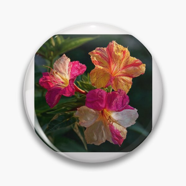 Item preview, Mirabilis Jalapa – Whispers of Color and Light #12 designed and sold by Helios Be. Lavsh.