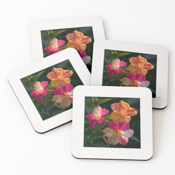 Item preview, Mirabilis Jalapa – Whispers of Color and Light #12 designed and sold by Helios Be. Lavsh.