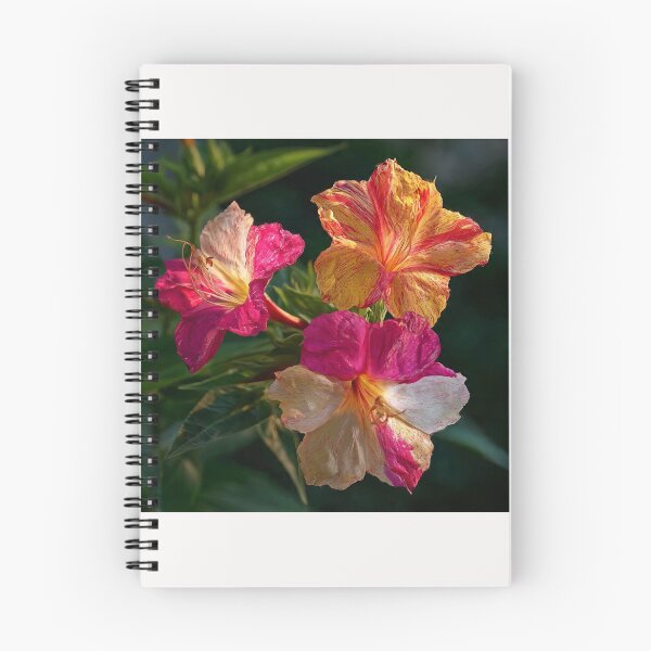 Item preview, Mirabilis Jalapa – Whispers of Color and Light #12 designed and sold by Helios Be. Lavsh.