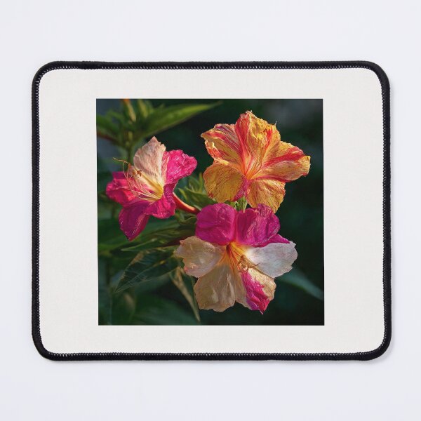 Item preview, Mirabilis Jalapa – Whispers of Color and Light #12 designed and sold by Helios Be. Lavsh.