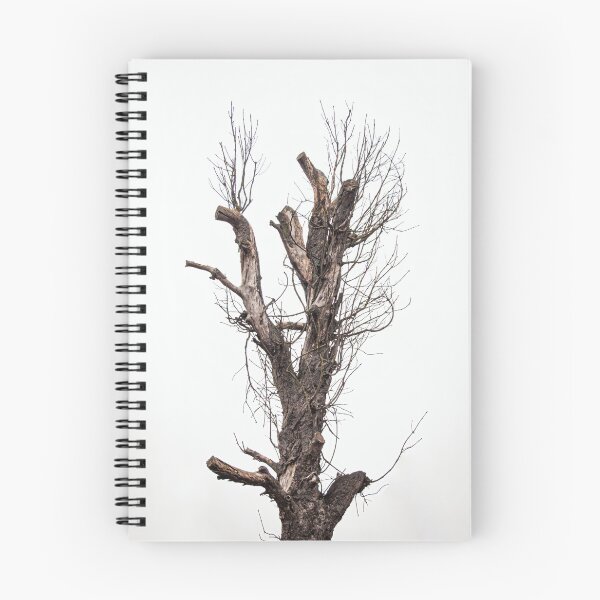 Item preview, Dead Tree During a Foggy Day designed and sold by LueNoir.