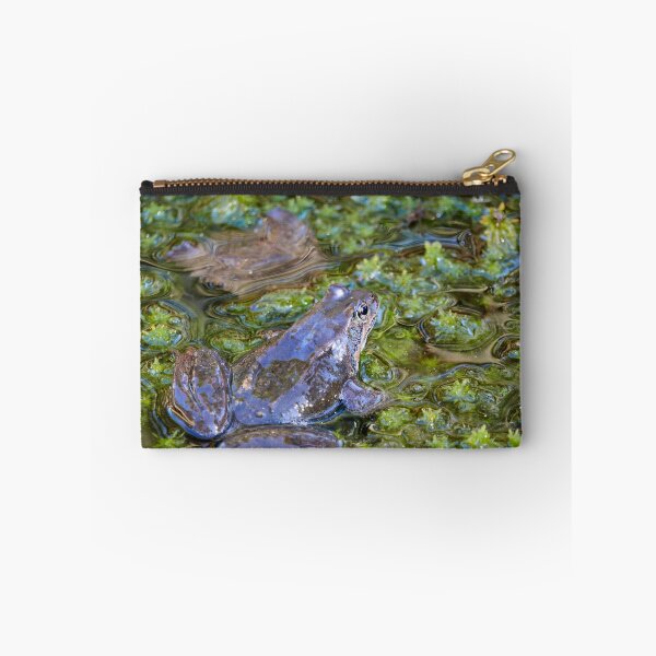 Item preview, Grease. European brown frog designed and sold by Jouko Lehto Photography.