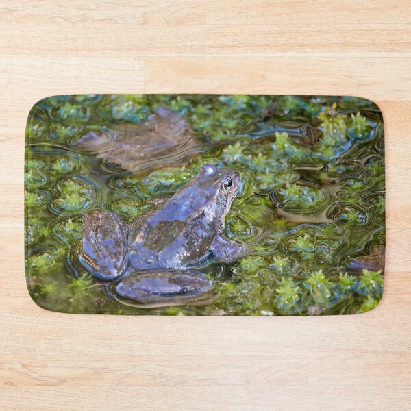 Item preview, Grease. European brown frog designed and sold by Jouko Lehto Photography.