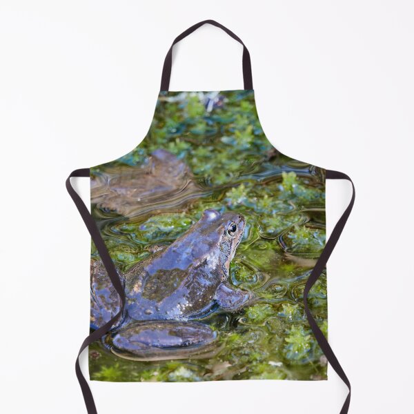 Item preview, Grease. European brown frog designed and sold by Jouko Lehto Photography.