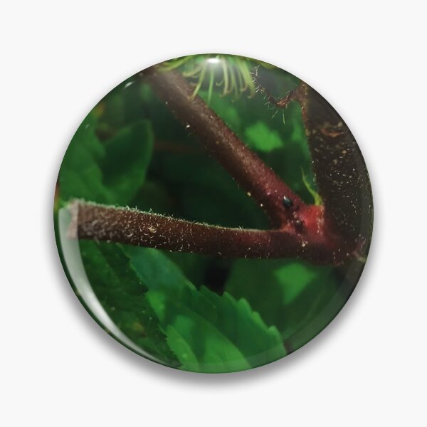 Item preview, Hidden Kingdom  designed and sold by Bernard03.