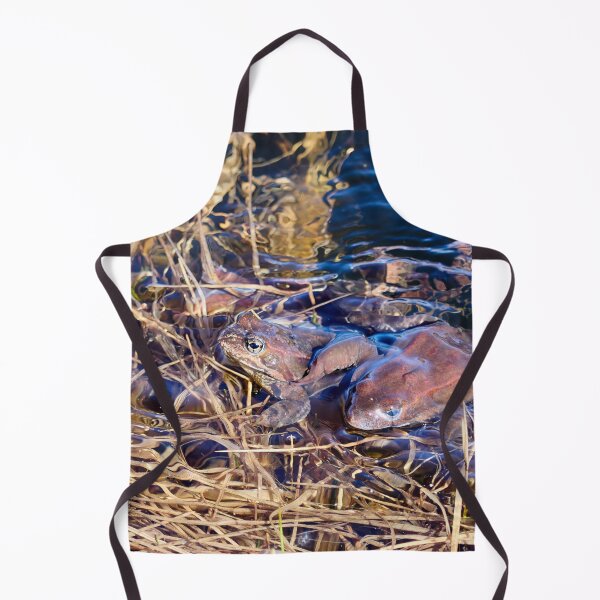 Item preview, How many frogs. European brown frog designed and sold by Jouko Lehto Photography.