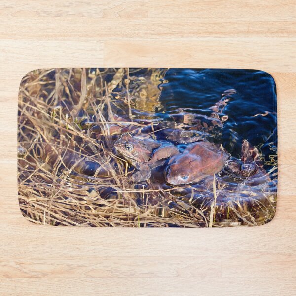 Item preview, How many frogs. European brown frog designed and sold by Jouko Lehto Photography.