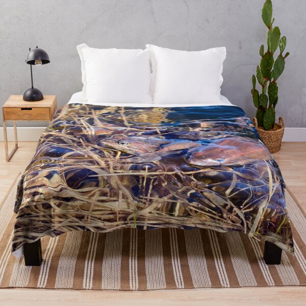 Item preview, How many frogs. European brown frog designed and sold by Jouko Lehto Photography.