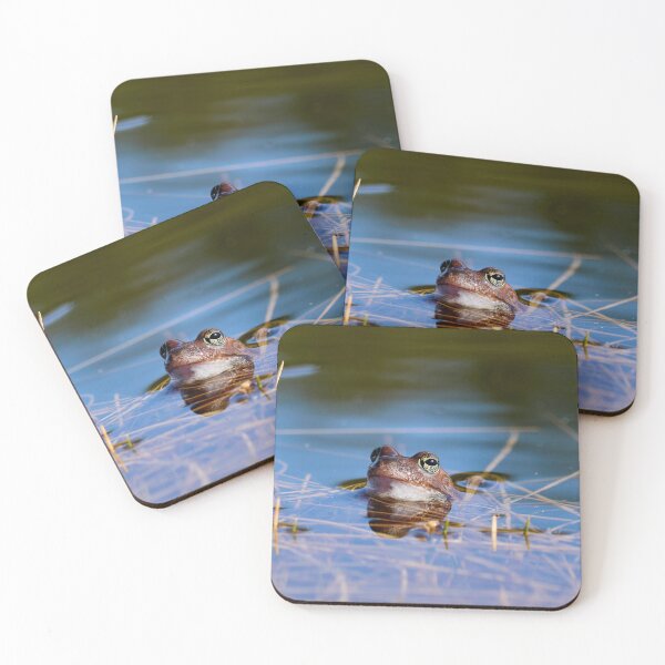 Item preview, Peaceful. European brown frog designed and sold by Jouko Lehto Photography.
