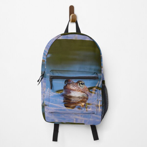 Item preview, Peaceful. European brown frog designed and sold by Jouko Lehto Photography.