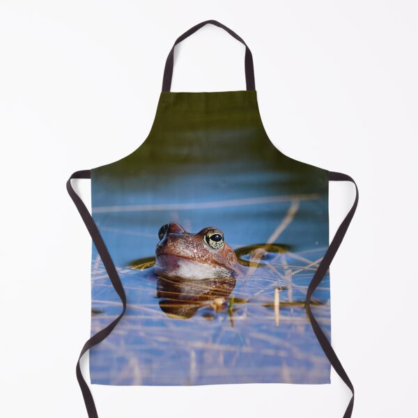 Item preview, Peaceful. European brown frog designed and sold by Jouko Lehto Photography.