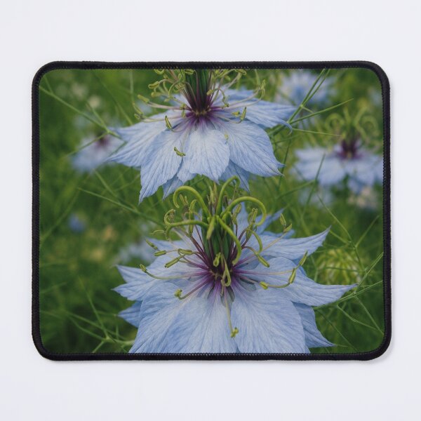 Item preview, Whispers of Love-in-a-Mist designed and sold by Kimberly Palmer.