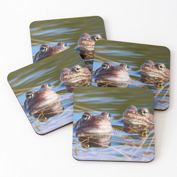 Item preview, Duo. European brown frog designed and sold by Jouko Lehto Photography.
