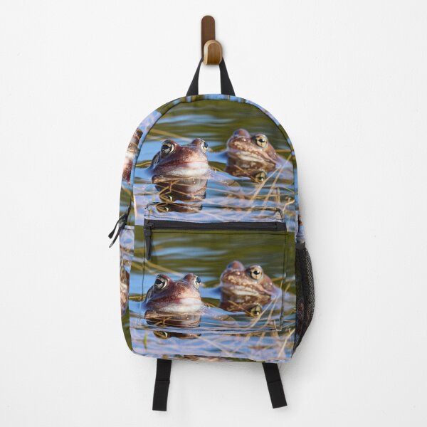 Item preview, Duo. European brown frog designed and sold by Jouko Lehto Photography.