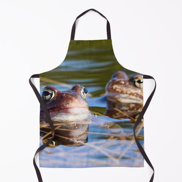 Item preview, Duo. European brown frog designed and sold by Jouko Lehto Photography.