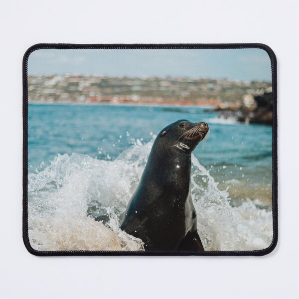 Item preview, La Jolla designed and sold by Alexa Harvey.