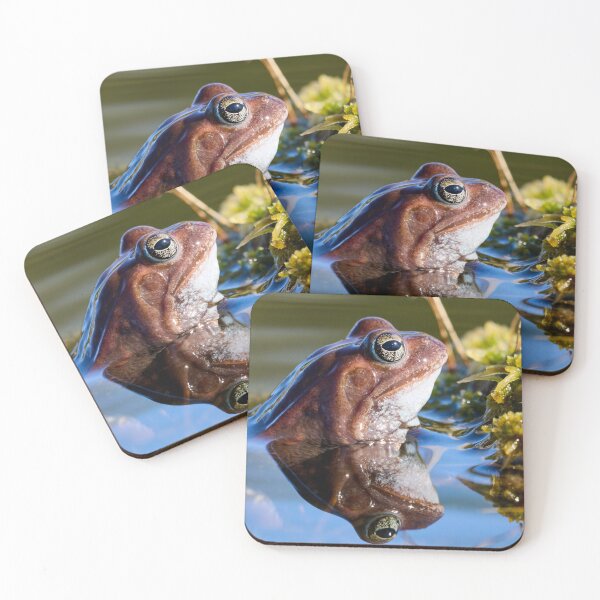 Item preview, Reflection. European brown frog designed and sold by Jouko Lehto Photography.