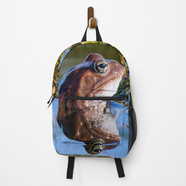 Item preview, Reflection. European brown frog designed and sold by Jouko Lehto Photography.
