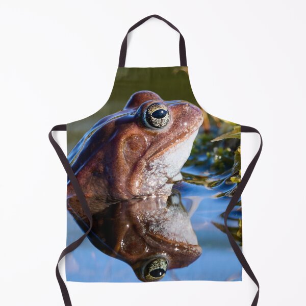 Item preview, Reflection. European brown frog designed and sold by Jouko Lehto Photography.