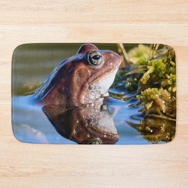 Item preview, Reflection. European brown frog designed and sold by Jouko Lehto Photography.