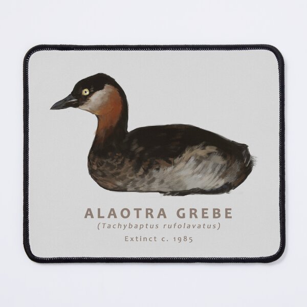 Item preview, Alaotra Grebe designed and sold by Haliaeetus.
