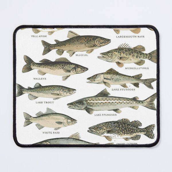 Item preview, Michigan Freshwater Fish Guide designed and sold by Matinez Pink.
