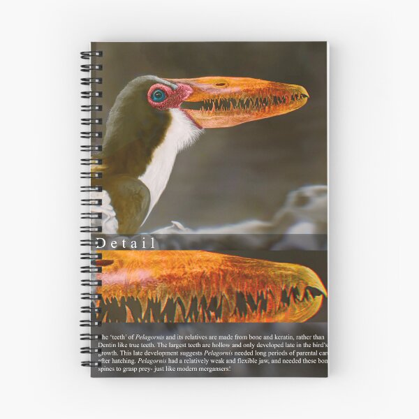 Item preview, Pelagornis Sandersi Info Sheet designed and sold by Driptosaurus.