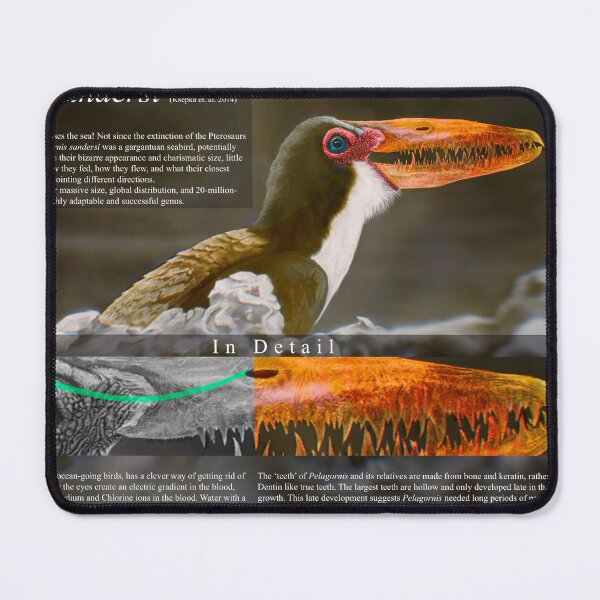 Item preview, Pelagornis Sandersi Info Sheet designed and sold by Driptosaurus.