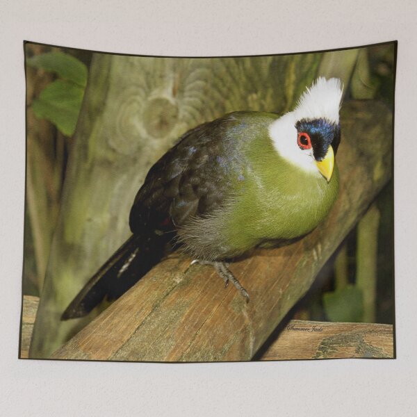 Item preview, White-Crested Turaco ~ a Green Bird designed and sold by SummerJade.