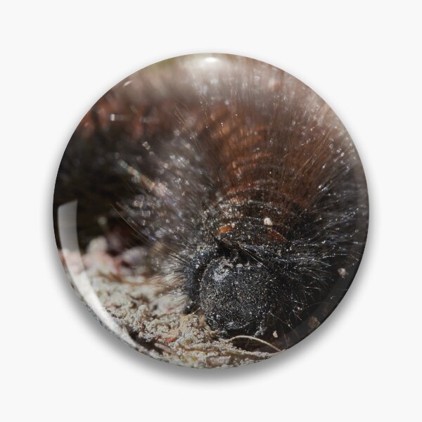 Item preview, Bad hair day. Caterpillar designed and sold by Jouko Lehto Photography.