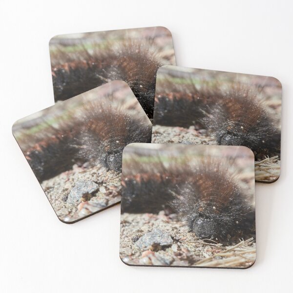 Item preview, Bad hair day. Caterpillar designed and sold by Jouko Lehto Photography.