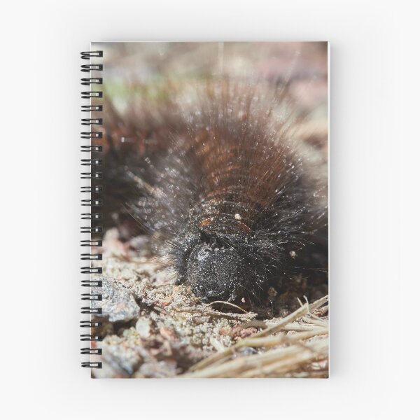 Item preview, Bad hair day. Caterpillar designed and sold by Jouko Lehto Photography.