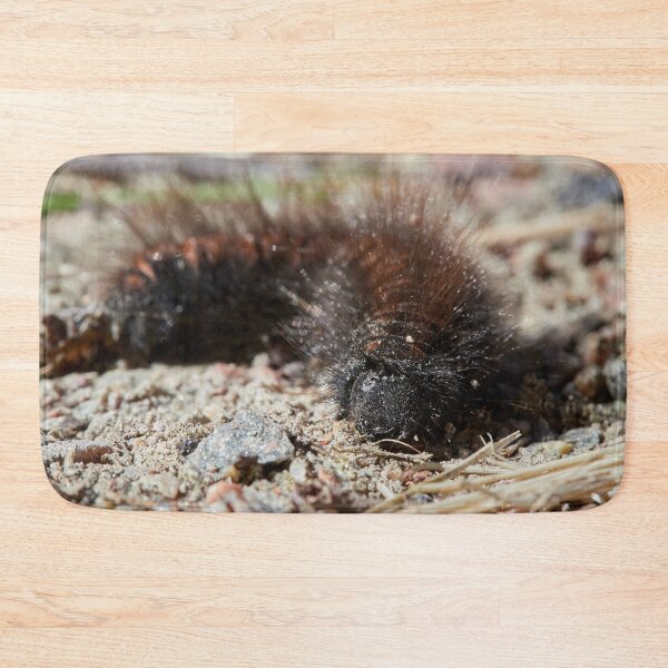 Item preview, Bad hair day. Caterpillar designed and sold by Jouko Lehto Photography.
