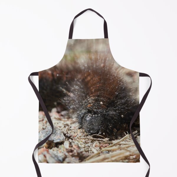 Item preview, Bad hair day. Caterpillar designed and sold by Jouko Lehto Photography.