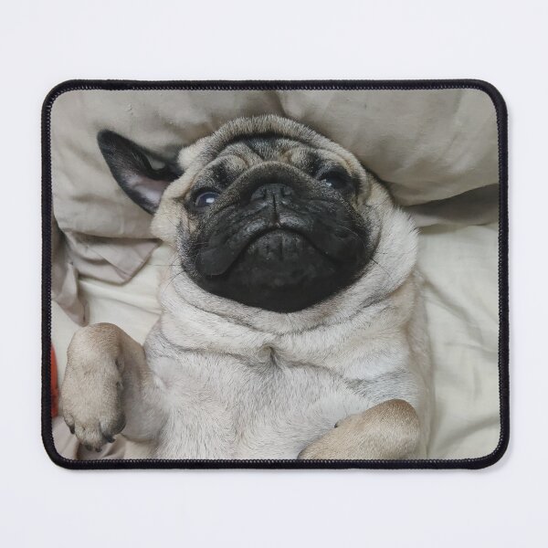 Item preview, Sleepy pug wakes up designed and sold by LivingwithPasta.