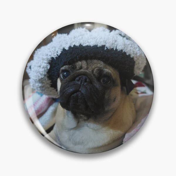 Item preview, Pug in a hat designed and sold by LivingwithPasta.